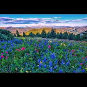 Meet your Posher, Neal.